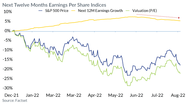 Next Twelve Months Earning from Per Share Indices